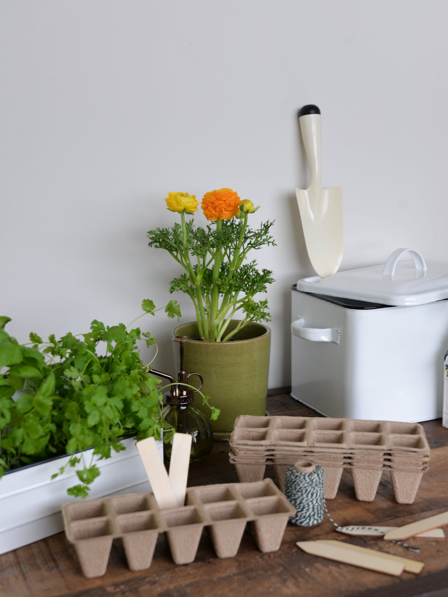A Summer Garden