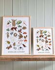 Woodland Alphabet Print / A3