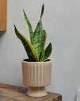 Nature Textured Flowerpot on Stand