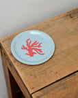 Seaside Coaster / Coral