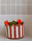 Braided Tulip Baskets / Colours
