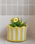Braided Tulip Baskets / Colours