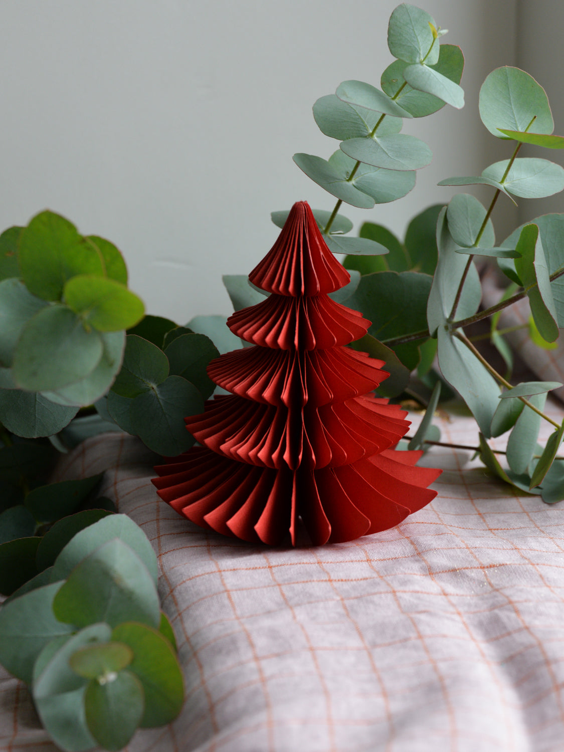 Honeycomb Tree Pine / Ruby