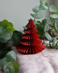 Honeycomb Tree Pine / Ruby