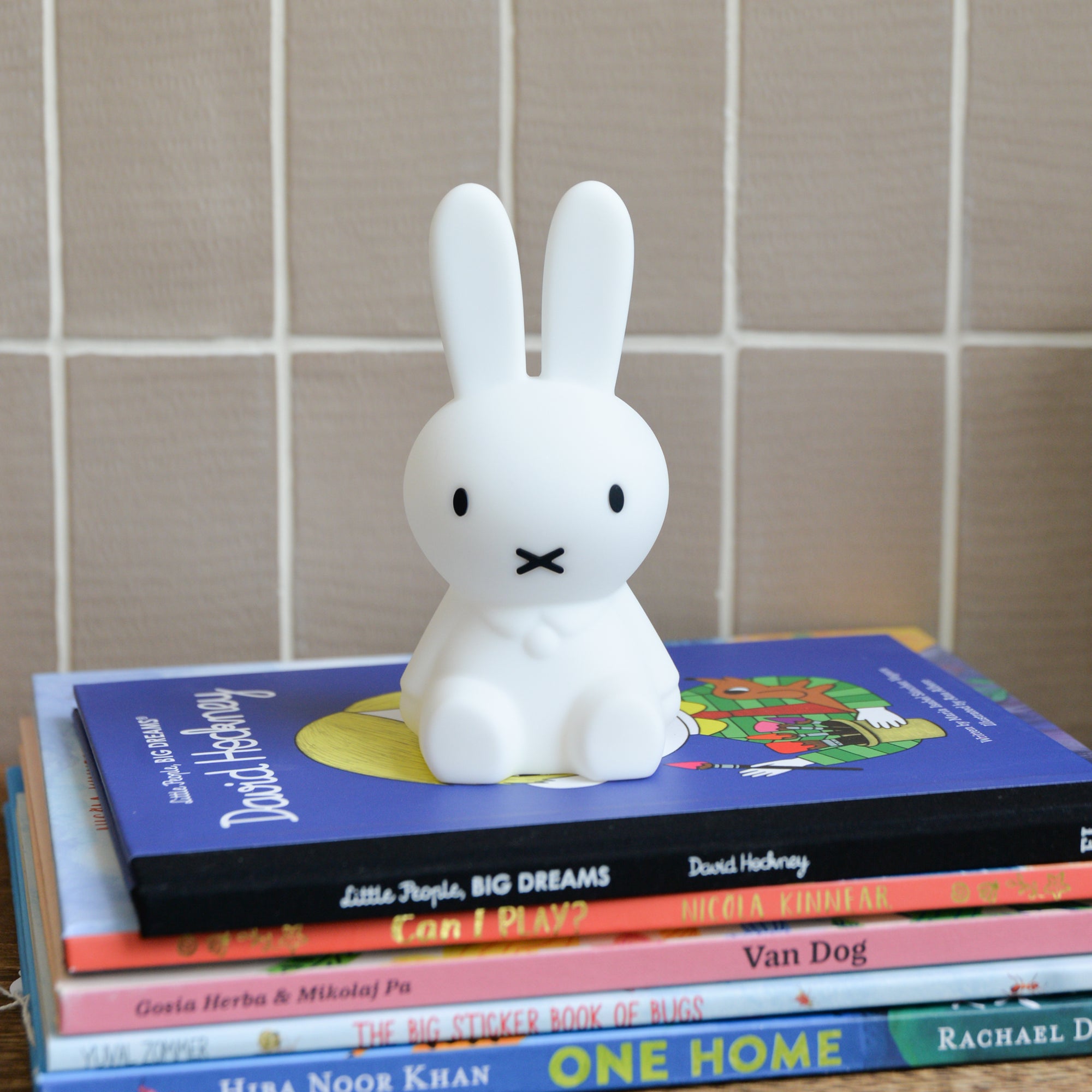 Miffy Bundle of Light