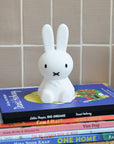 Miffy Bundle of Light