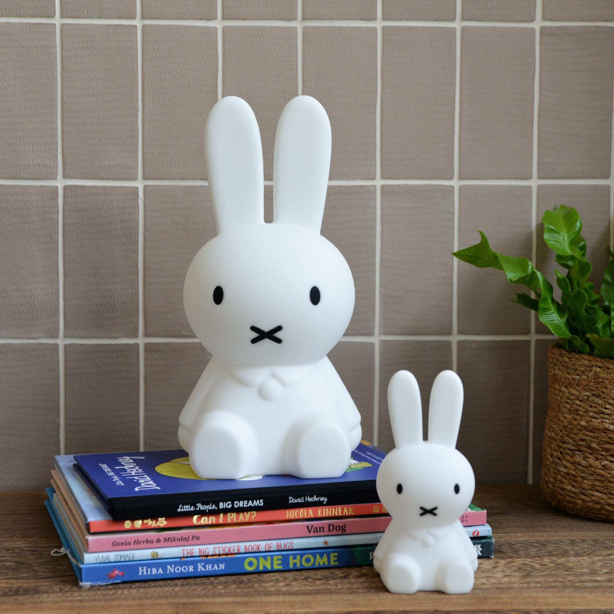 Miffy Bundle of Light
