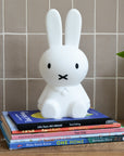 Miffy Portable Night Light