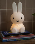 Miffy Portable Night Light