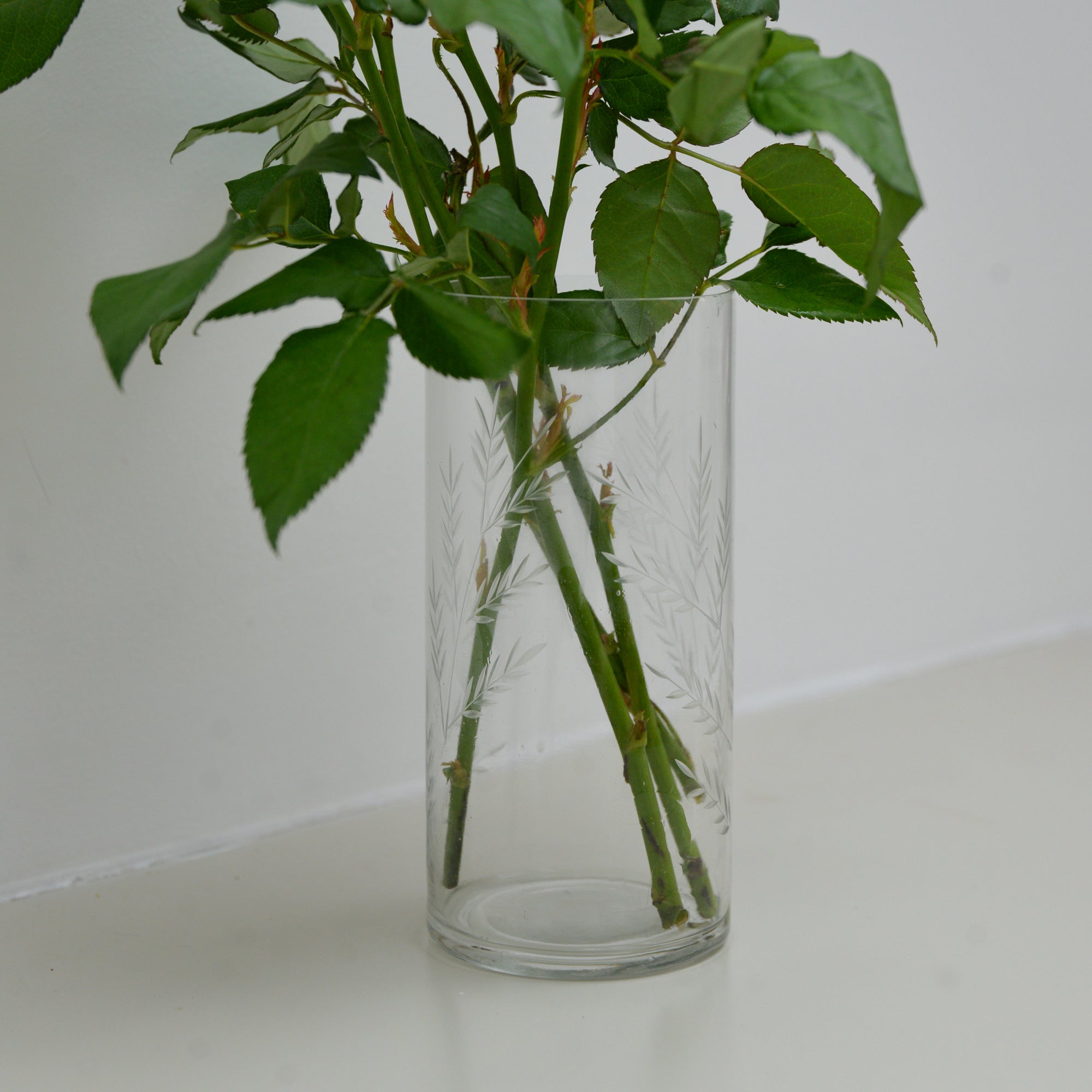 Slim Glass Fern Vase