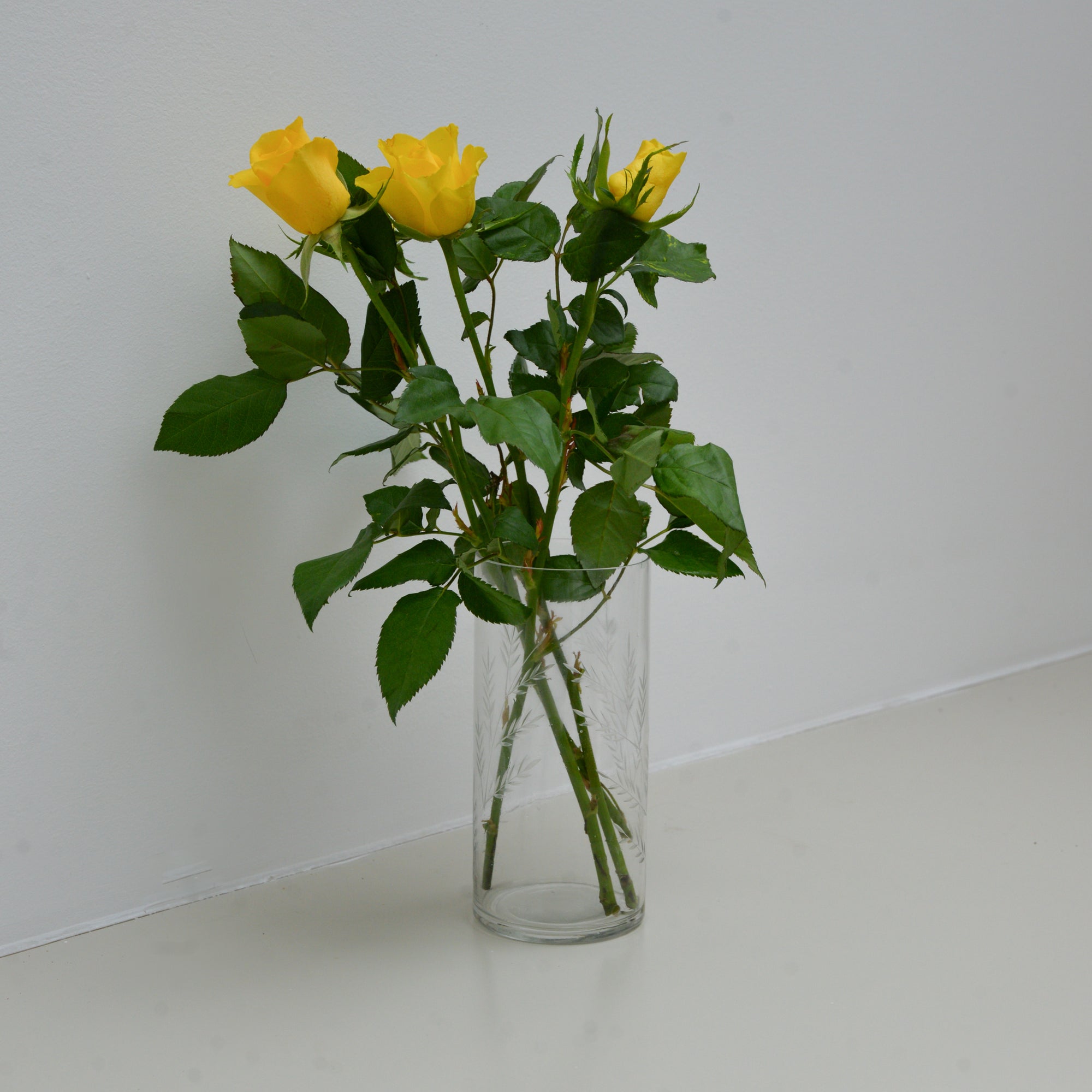 Slim Glass Fern Vase