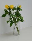 Slim Glass Fern Vase