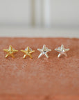 Andre Star Stud Earrings / Silver