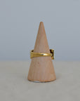 Friends Chunky Ring in Gold