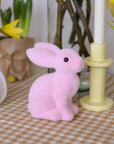 Spring Bunny Decoration