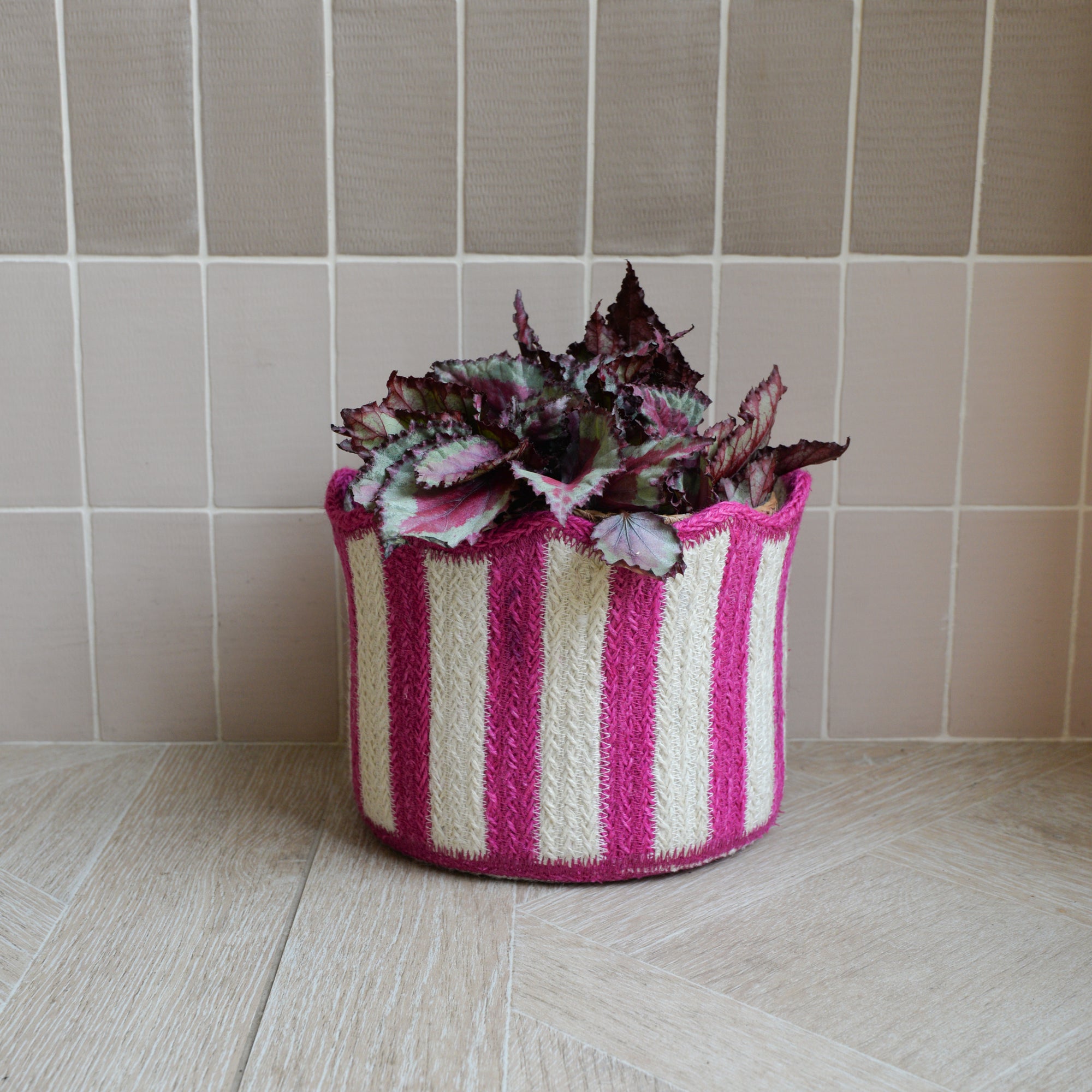 Braided Tulip Baskets / Colours