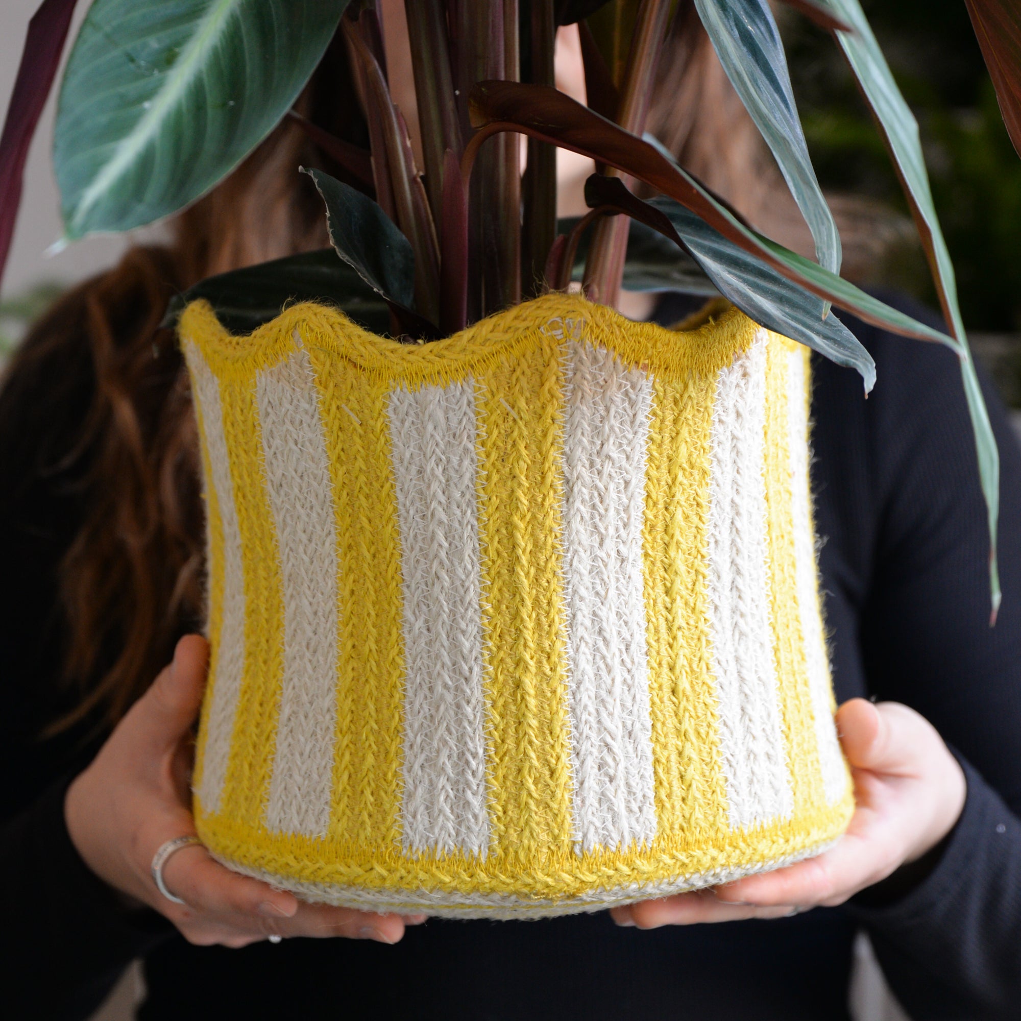 Braided Tulip Baskets / Colours