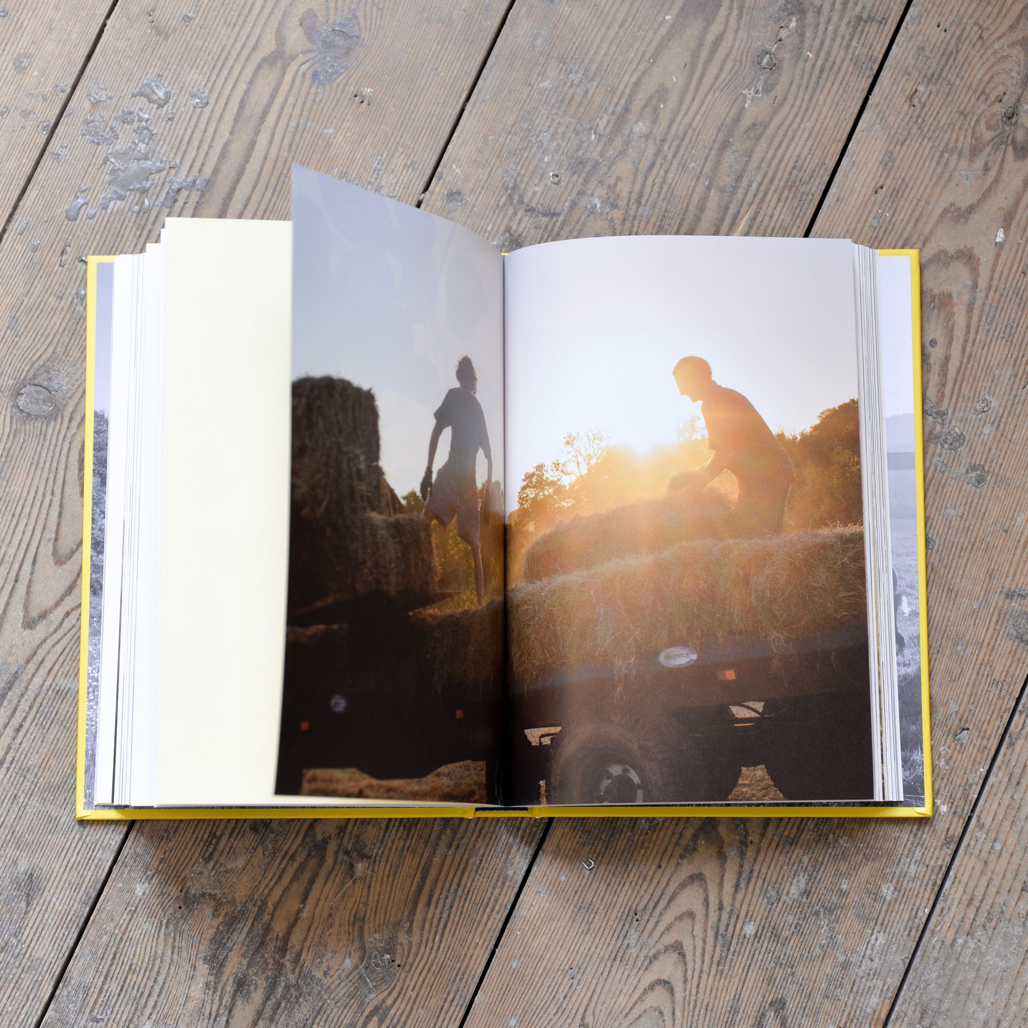 Farm Table: A Cookbook by Julius Roberts
