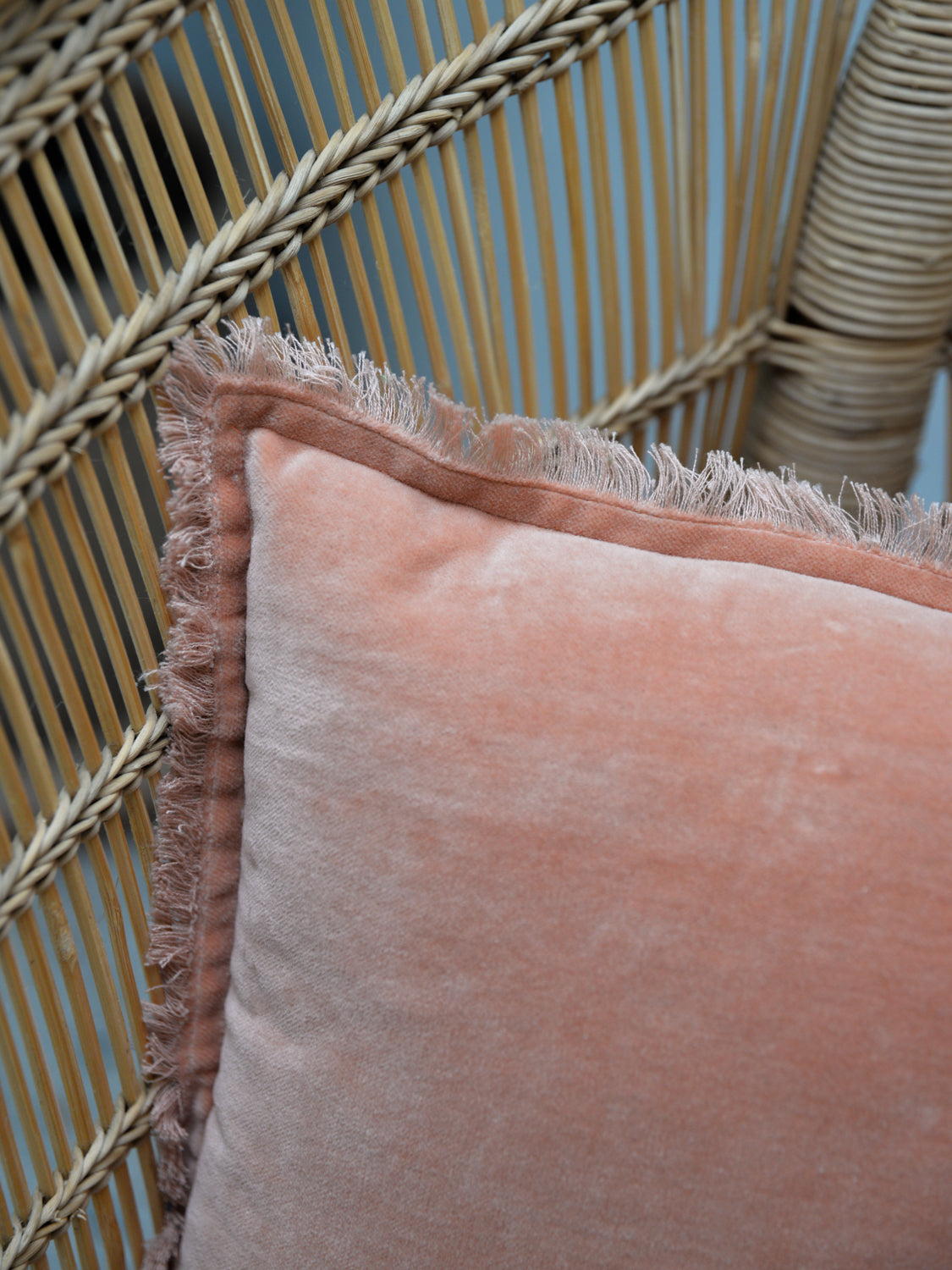 Fara Plain Cotton Velvet Cushion / Dragée