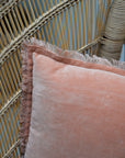 Fara Plain Cotton Velvet Cushion / Dragée