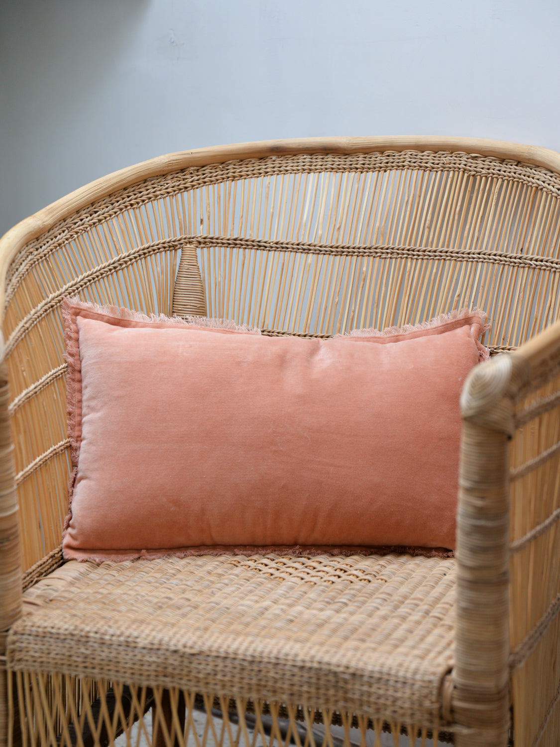 Fara Plain Cotton Velvet Cushion / Dragée