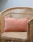 Fara Plain Cotton Velvet Cushion / Dragée