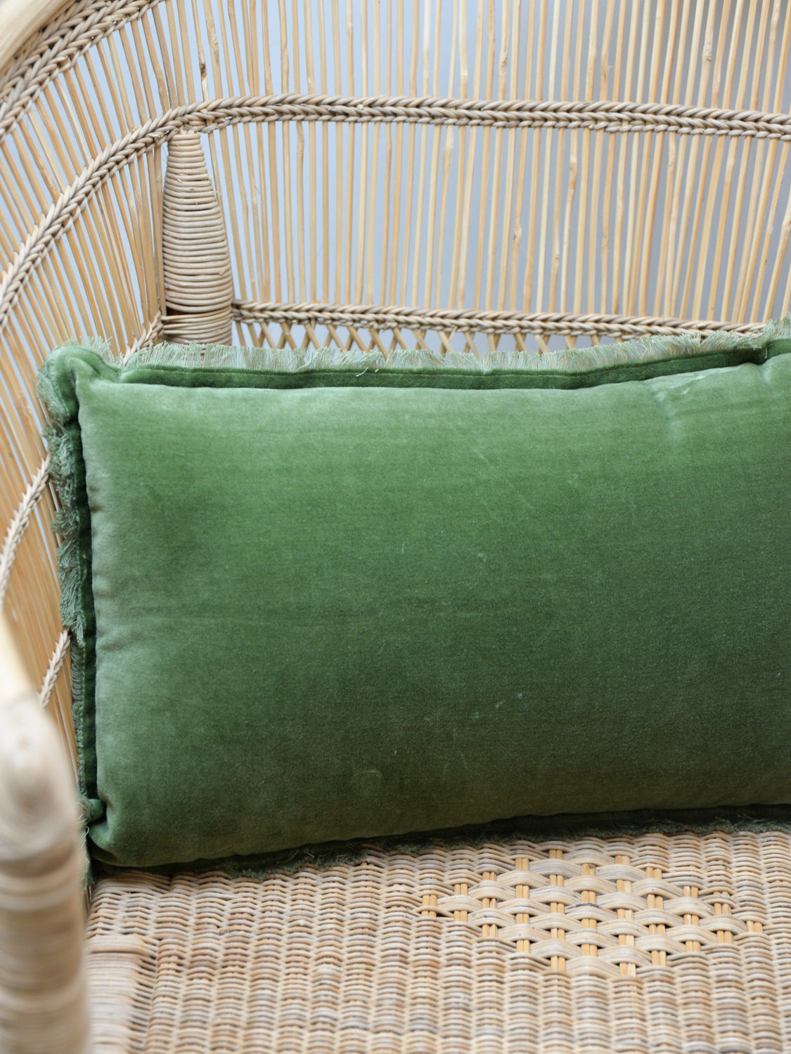 Fara Plain Cotton Velvet Cushion / Eucalyptus