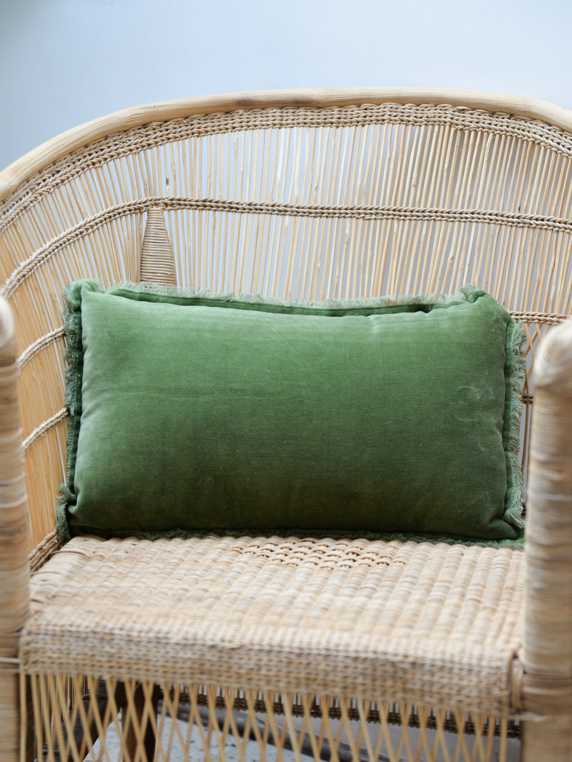 Fara Plain Cotton Velvet Cushion / Eucalyptus