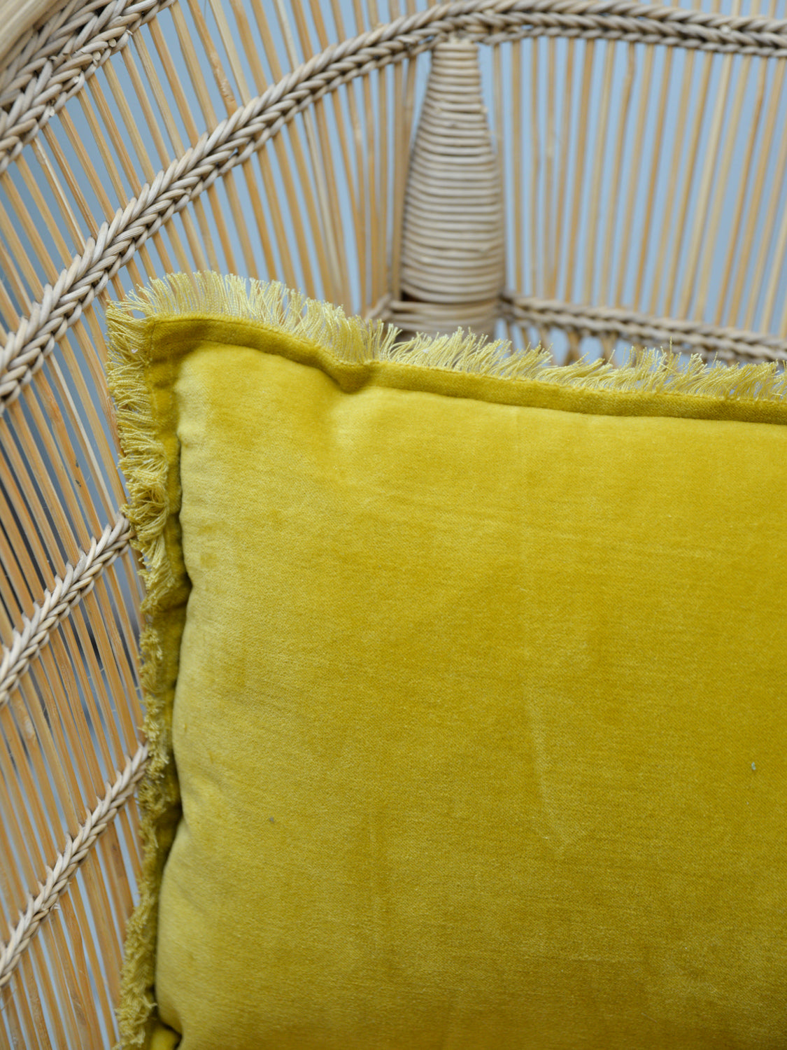 Fara Plain Cotton Velvet Cushion / Mirabelle