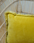 Fara Plain Cotton Velvet Cushion / Mirabelle