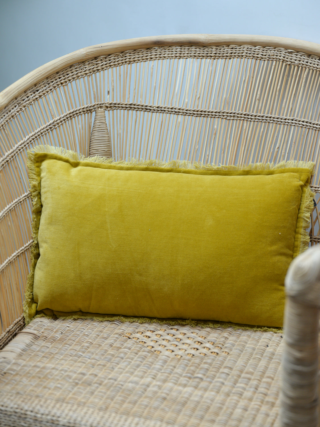 Fara Plain Cotton Velvet Cushion / Mirabelle
