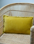 Fara Plain Cotton Velvet Cushion / Mirabelle