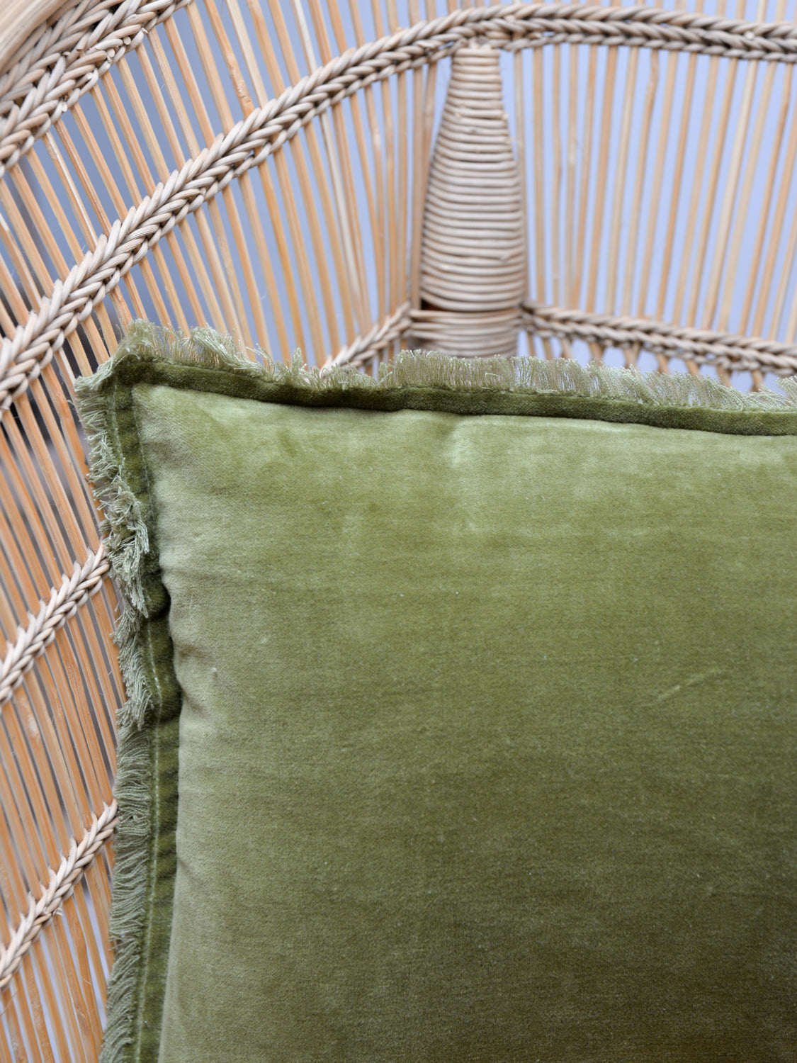 Fara Plain Cotton Velvet Cushion / Olive