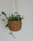 Betty Hanging Jute Pot / Various Sizes