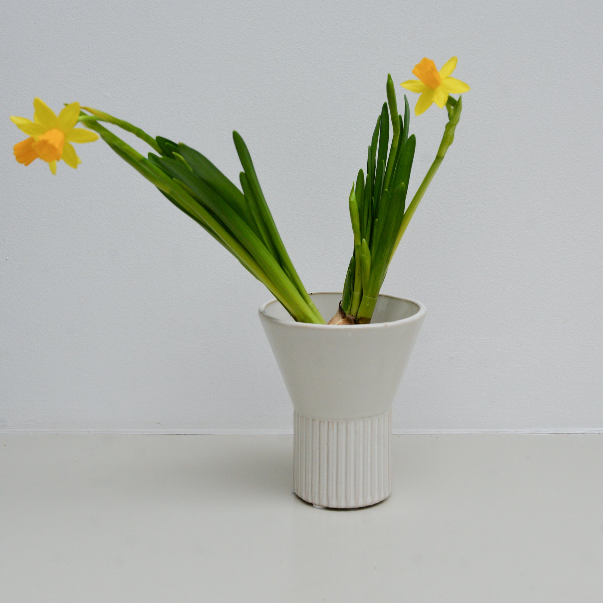 White Stoneware Hyacinth Vases / Styles