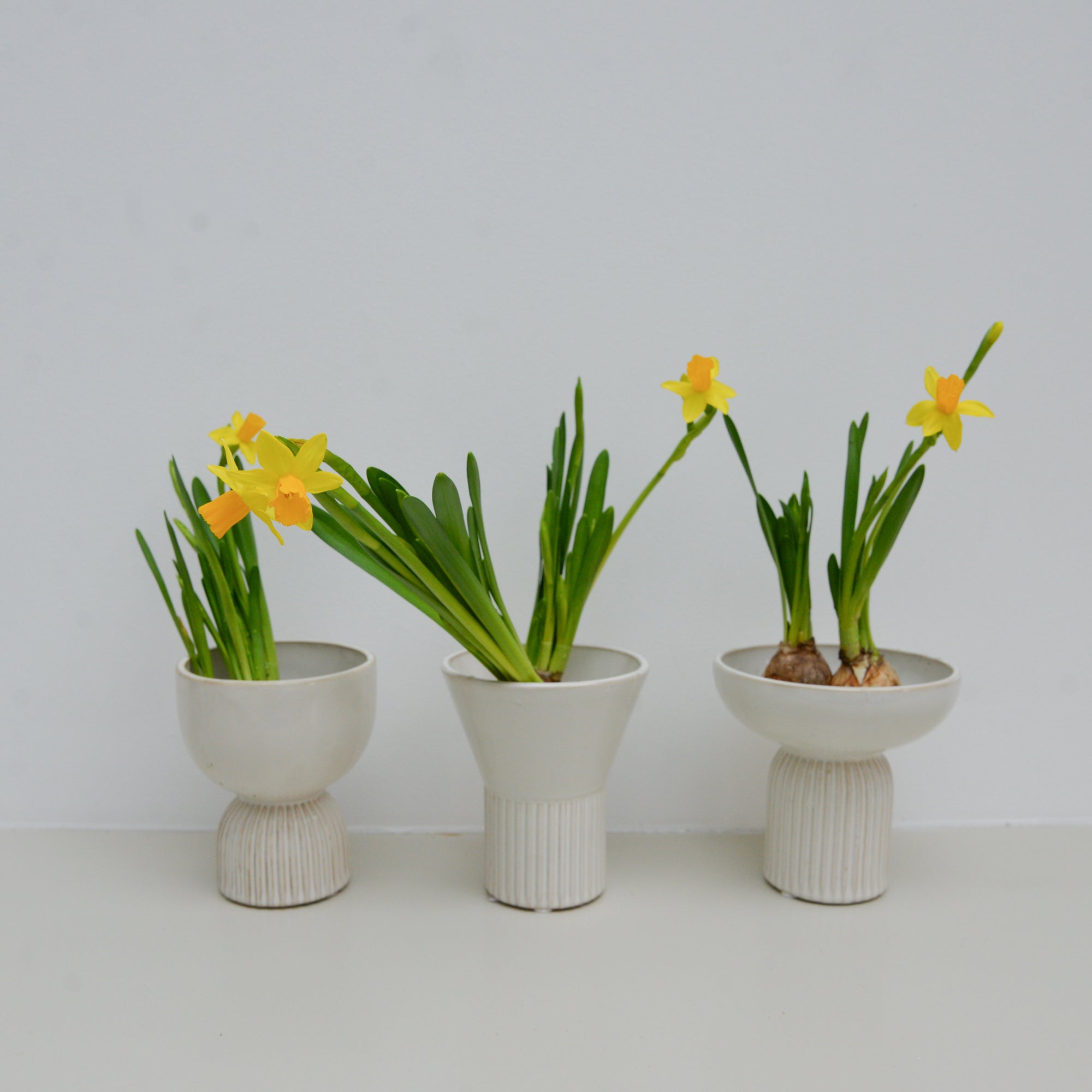 White Stoneware Hyacinth Vases / Styles