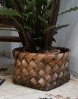 Nila Woven Plant Basket / Sizes