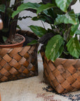 Nila Woven Plant Basket / Sizes