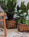 Nila Woven Plant Basket / Sizes
