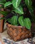 Nila Woven Plant Basket / Sizes