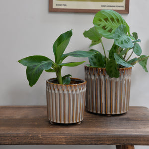 Wilma Plant Pot / Sizes