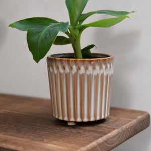 Wilma Plant Pot / Sizes
