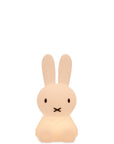 Miffy Bundle of Light