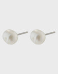 Freshwater Pearl Stud Earrings