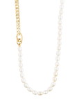 Precious Curb Chain and Freshwater Pearl Necklace