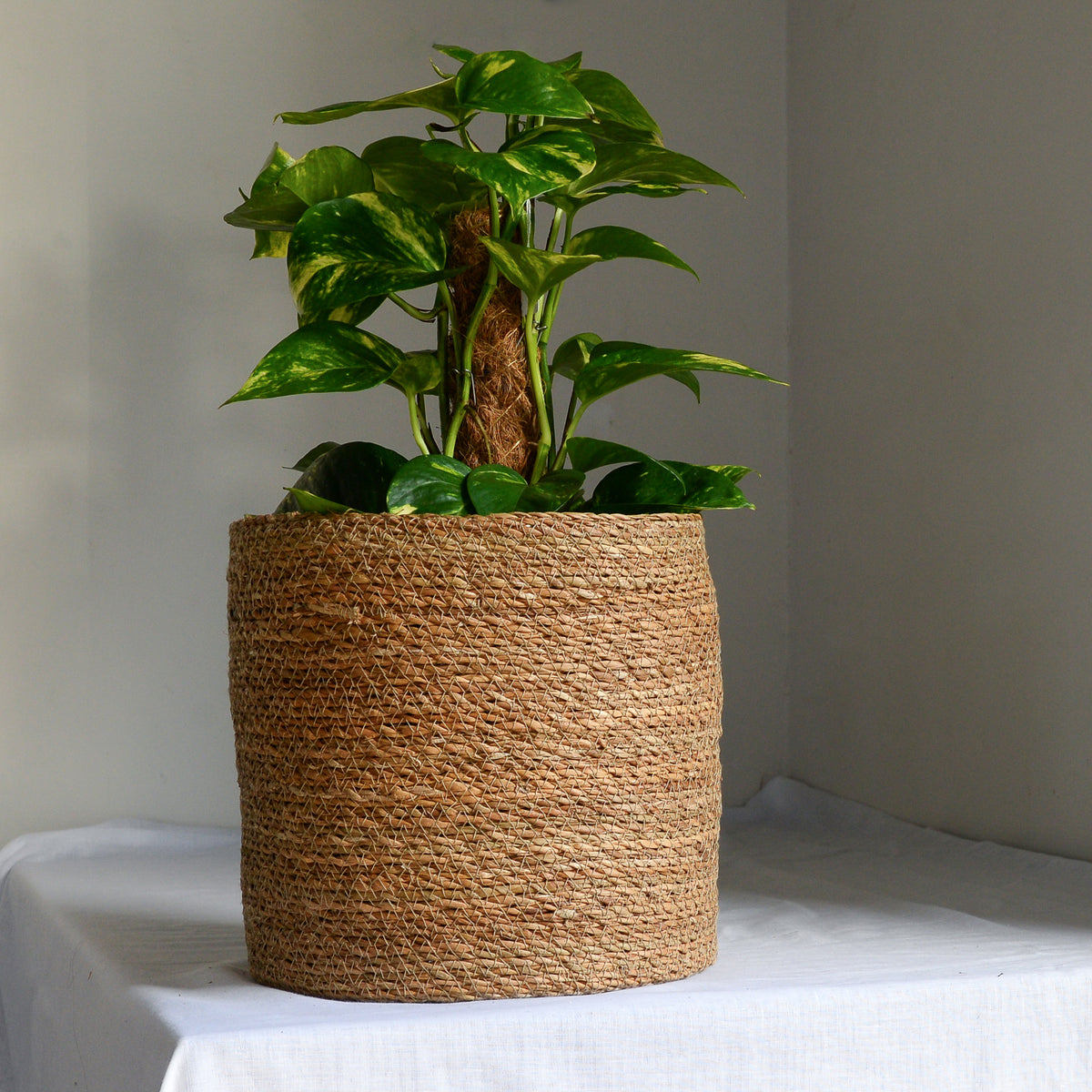 Natural Jute Planter in Five Sizes Mon Pote