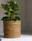 Natural Jute Planter in Five Sizes