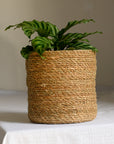 wikholm-form-danish-design-planter