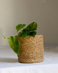 jute-baskets-fr-plants