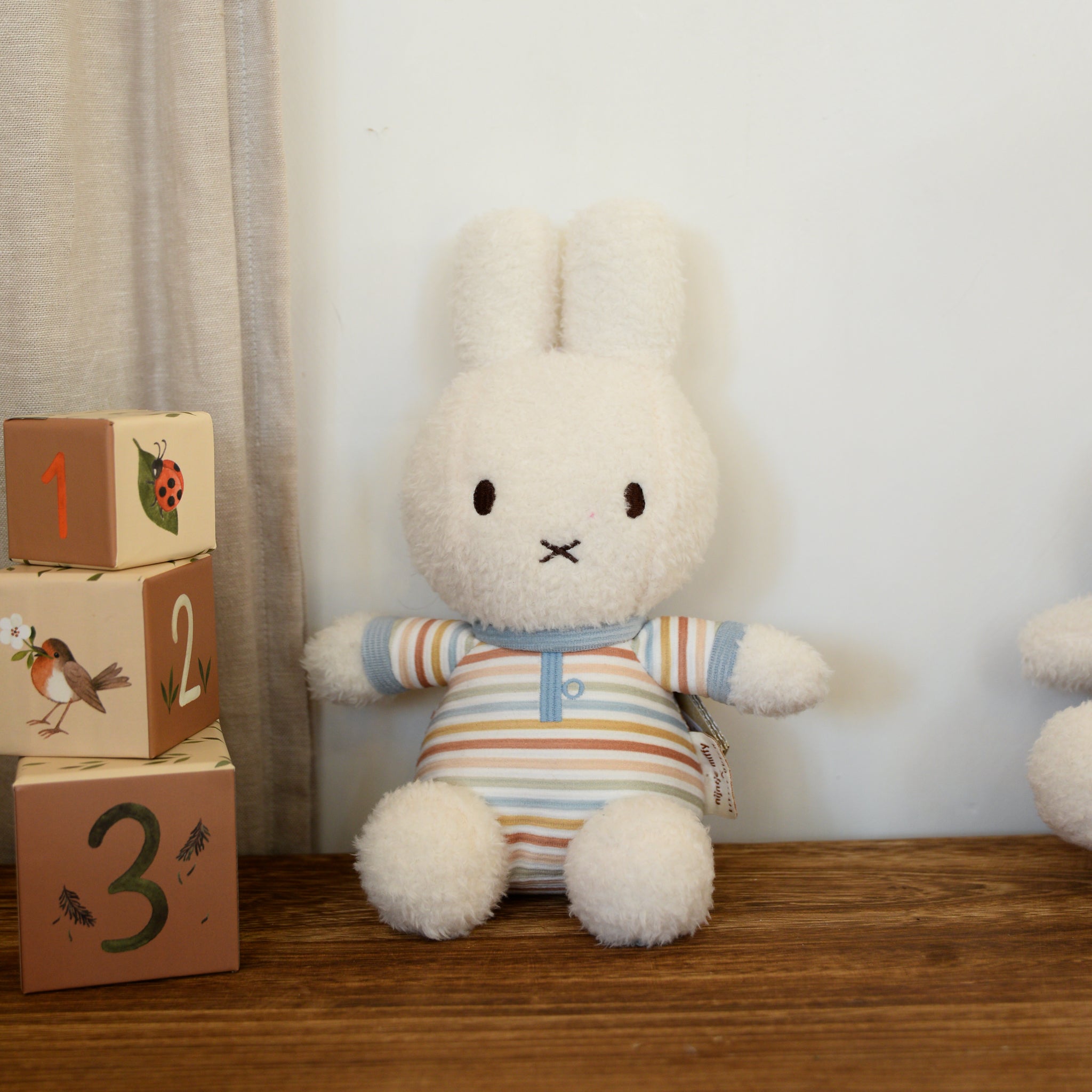 Miffy on a Tortoise Mini Poster - Cheerful Gift for Friends & Fans Miffy on a Tortoise Mini Poster - Cheerful Gift for Friends & Fans